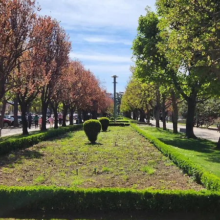 Moderno En Ciudad Apartamento León